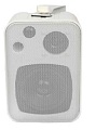 SVS Audiotechnik WSM-20W