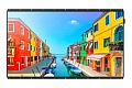 Samsung QM75C